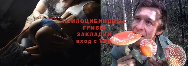 сатива Алексин