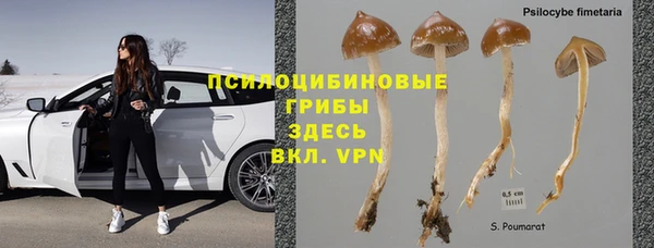 сатива Алексин