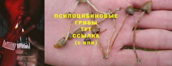 хмурый Алзамай