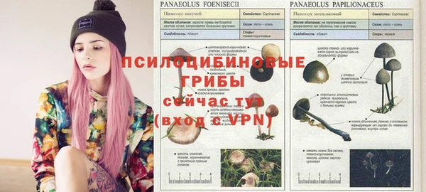 хмурый Алзамай