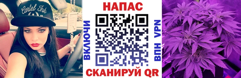 Конопля план Боровск